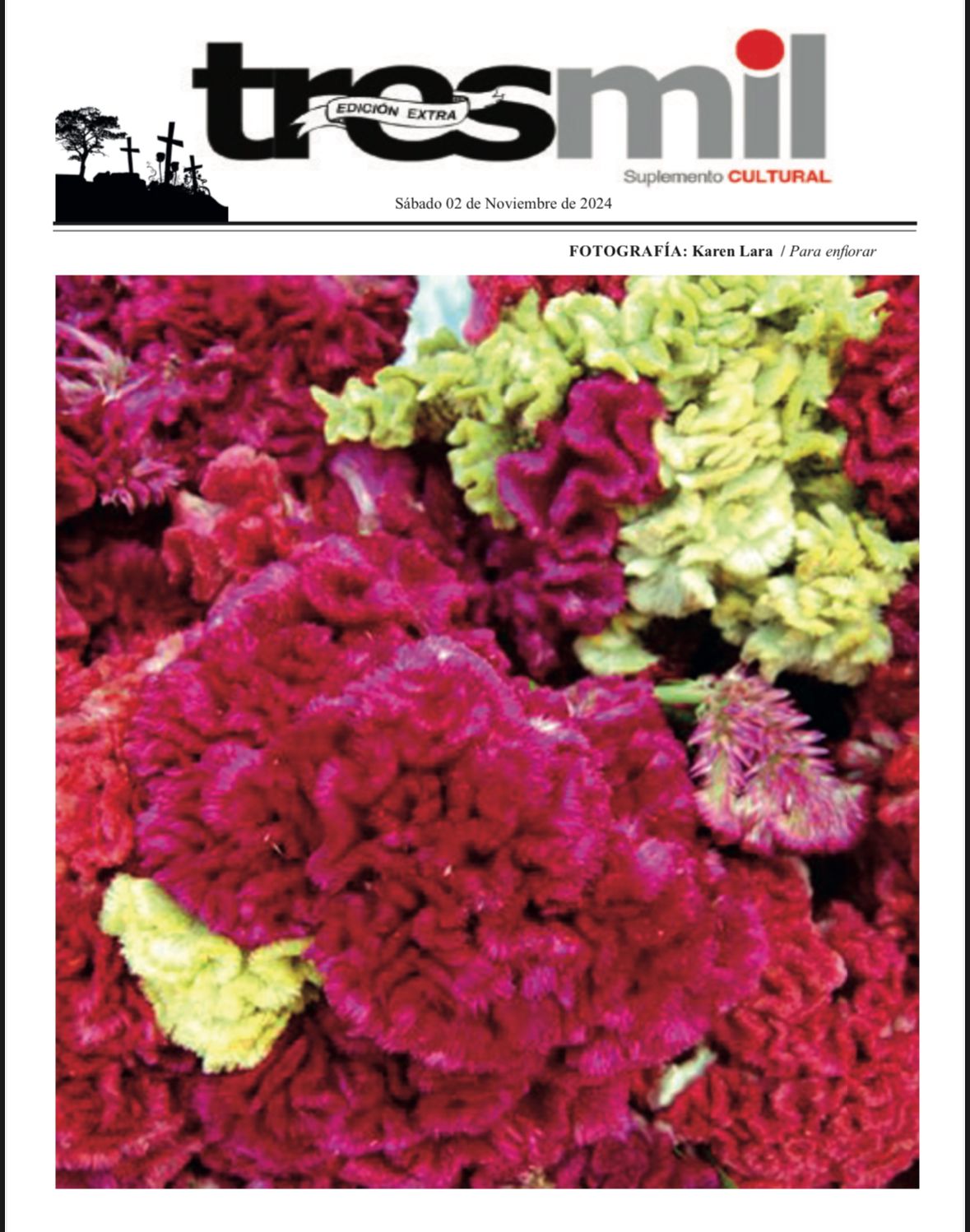 “To bloom.” Photo: Karen Lara. Cover of Tres Mil Cultural Supplement Saturday, November 2, 2024.
 –